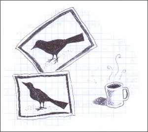 crows and coffee