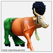 afro cow