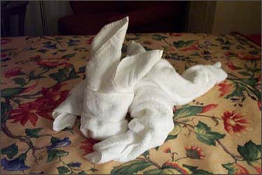 towel bunny